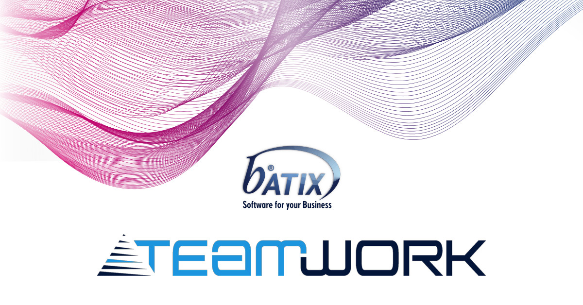 Batix & Teamwork Partnerschaft
