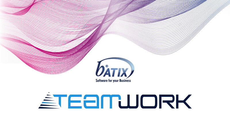 Batix & Teamwork Partnerschaft