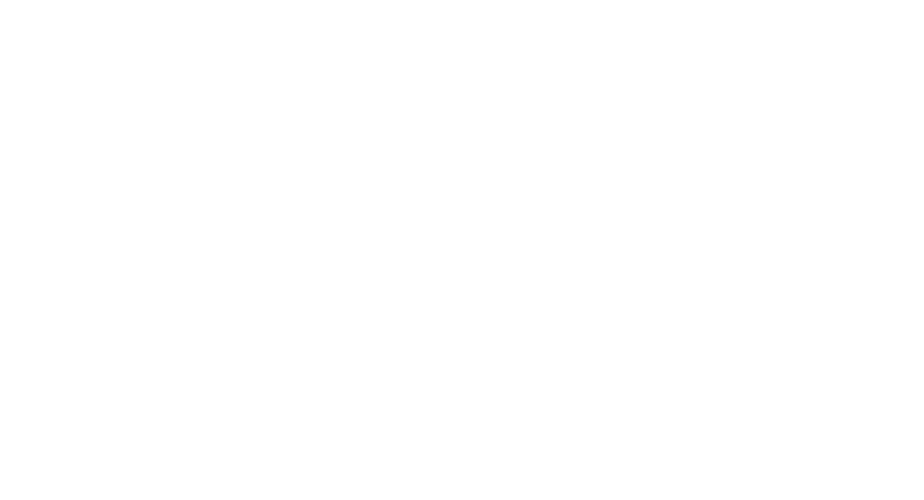 Swiss Transitlab Logo