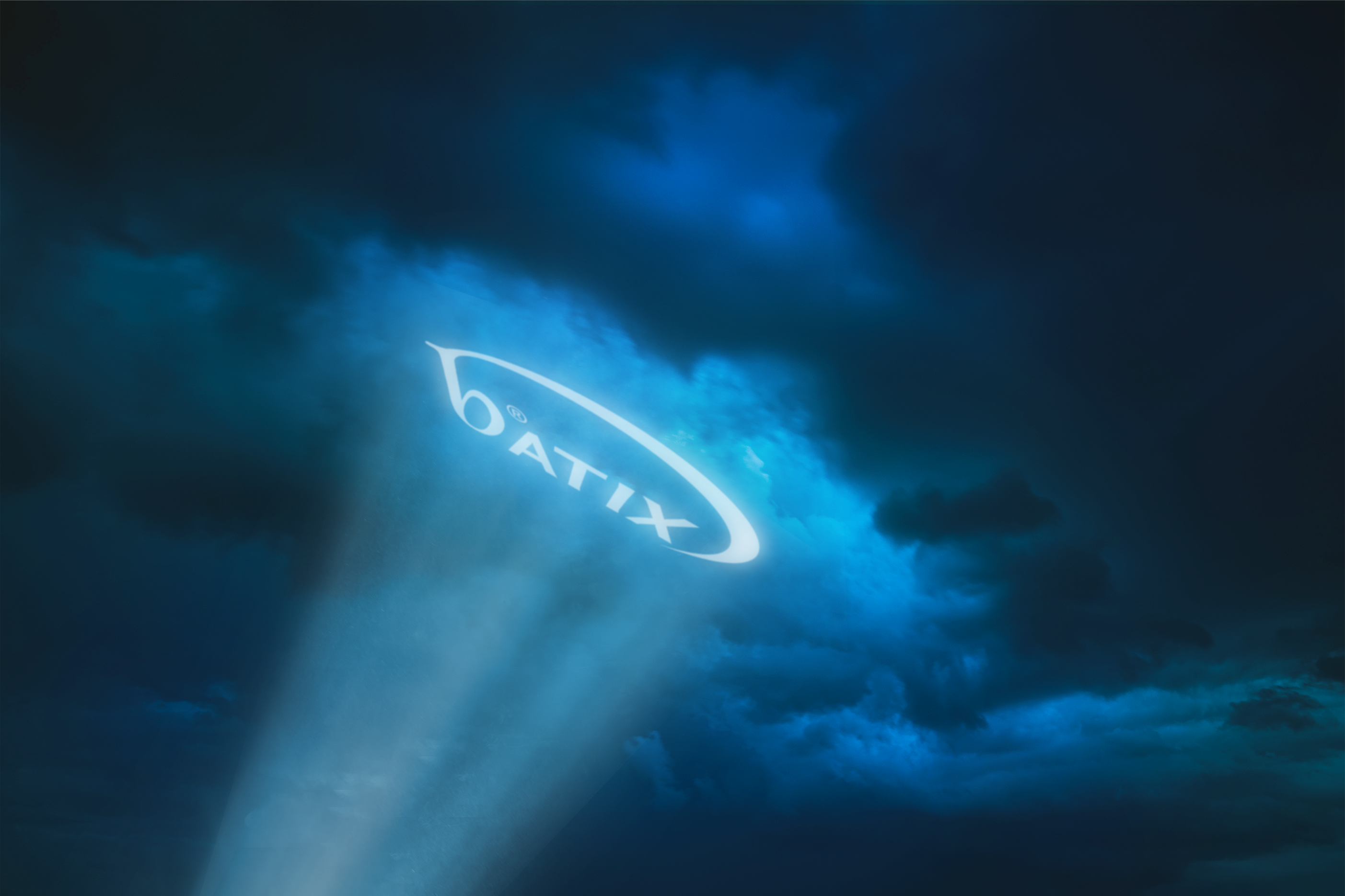 Batix Software as a Service