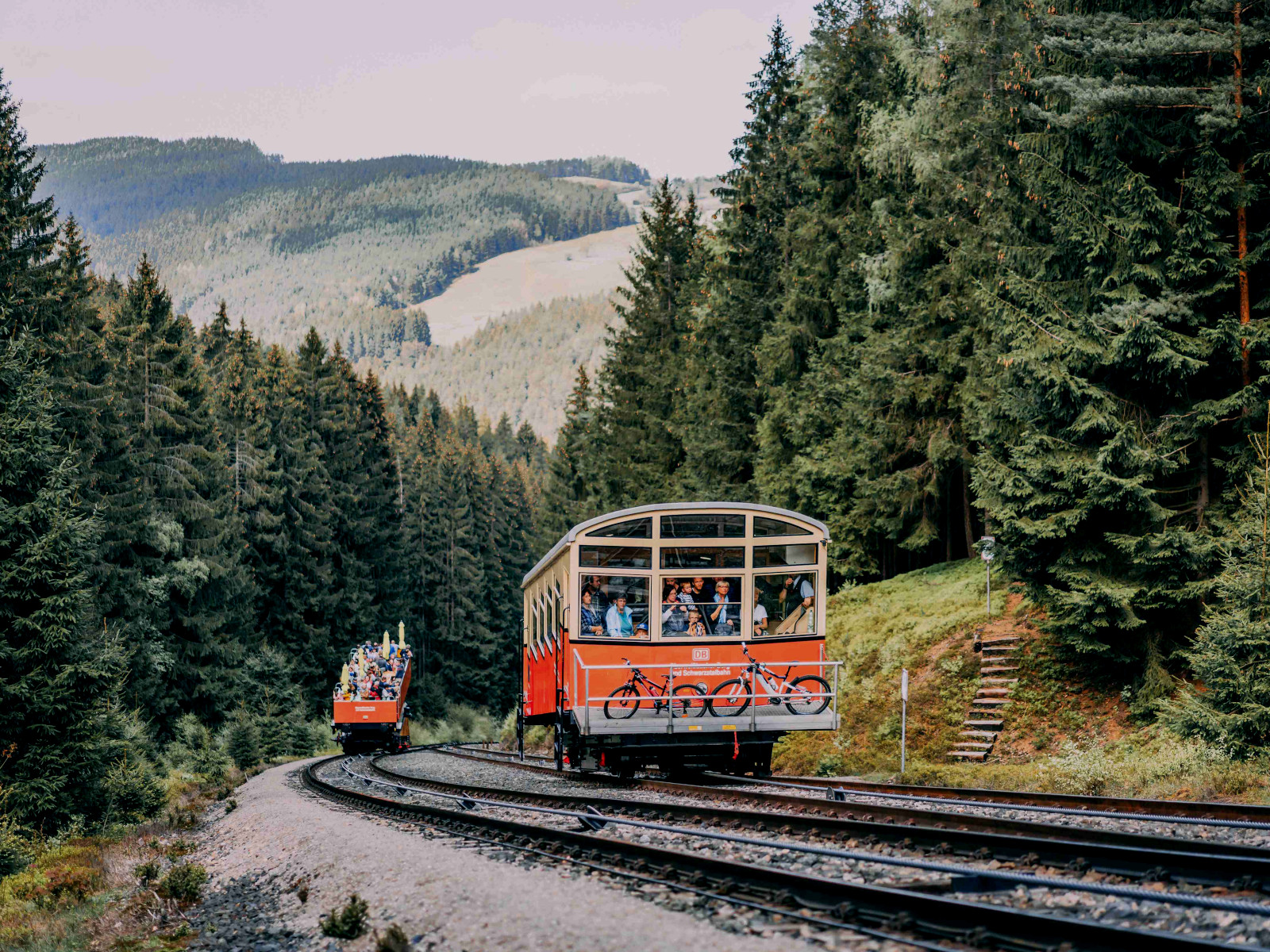 Online Shop für Tickets und Souvenirs